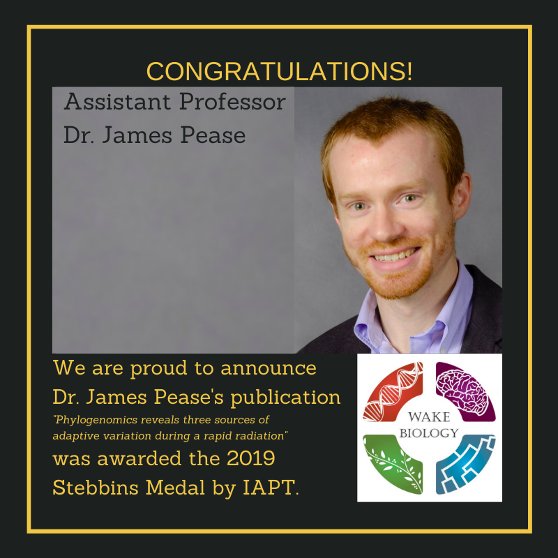 James Pease awarded 2019 Stebbins Medal by IAPT