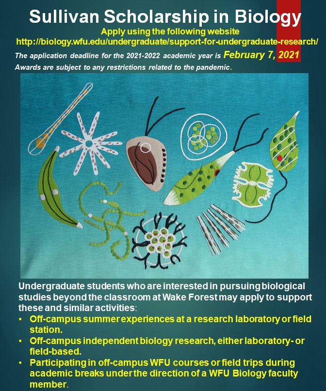 Sullivan Scholarship in Biology Flyer